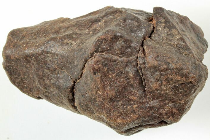 Chondrite Meteorite ( grams) - Western Sahara Desert #233217
